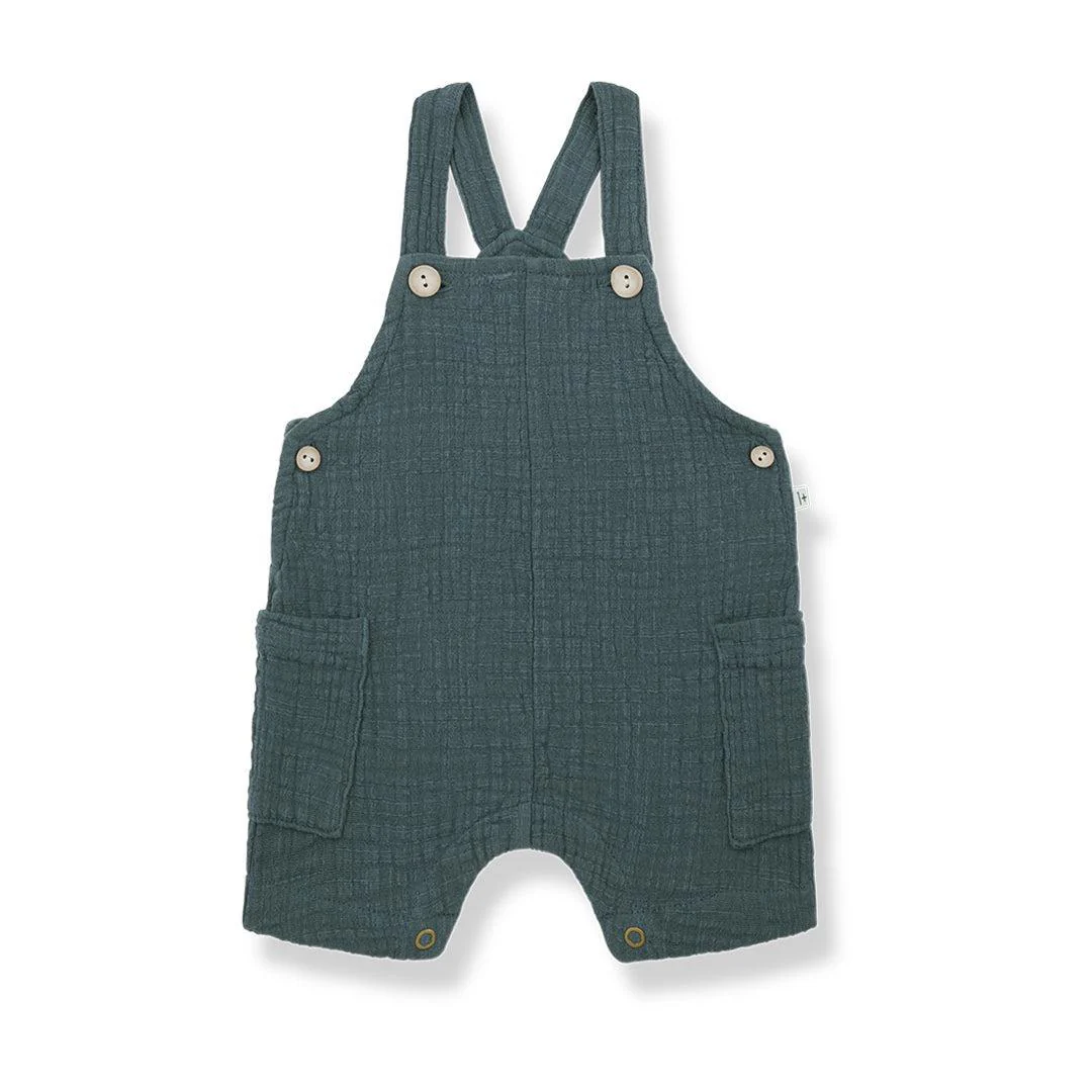 1+ in the family Roman Overalls - Petroleum