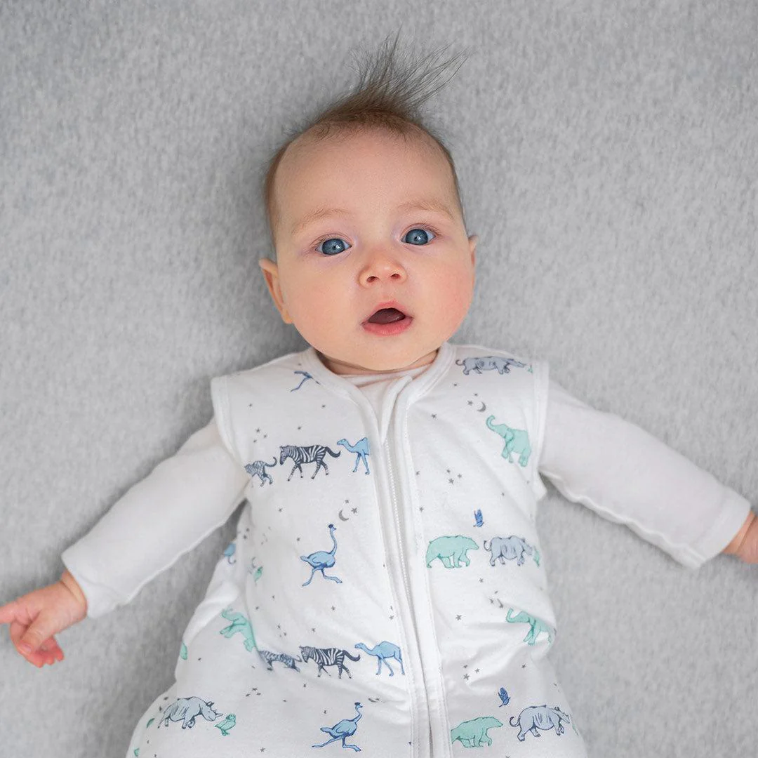 aden + anais Winter Sleeping Bag 2.5 TOG - Rising Star - Image 3