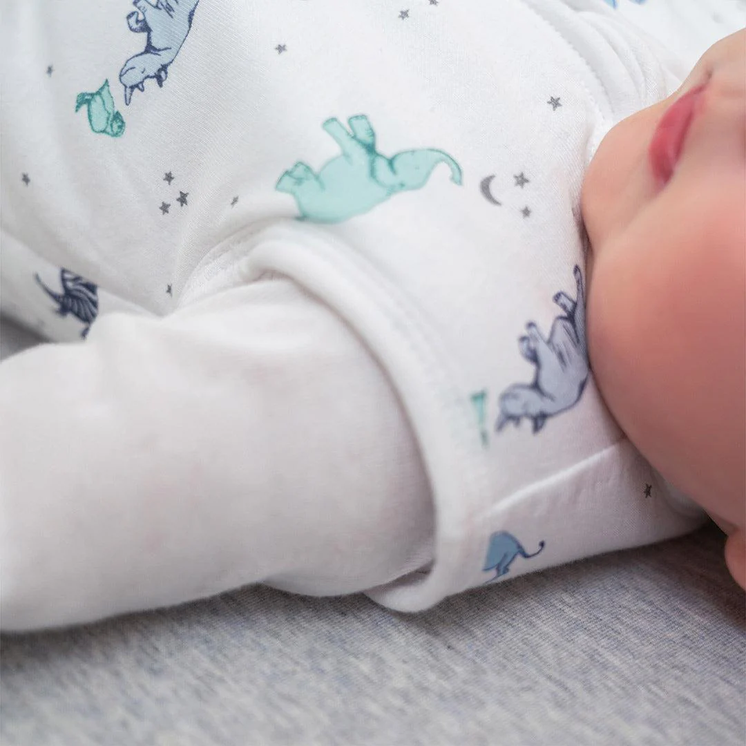 aden + anais Winter Sleeping Bag 2.5 TOG - Rising Star - Image 5