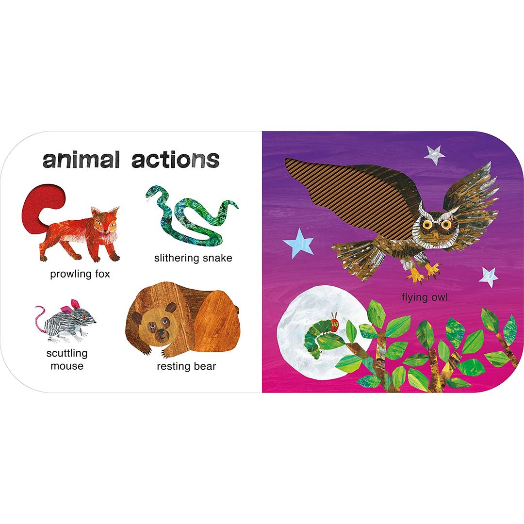Bookspeed Very Hungry Caterpillars - Touch And Feel - Animals  - Multi - Board - Image 6