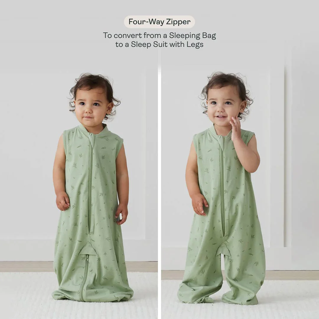 ergoPouch - Organic Winter Long Sleeved 2 In 1 Sleeping Suit Bag - 3.5 TOG - Blue Dragonflies - Image 3