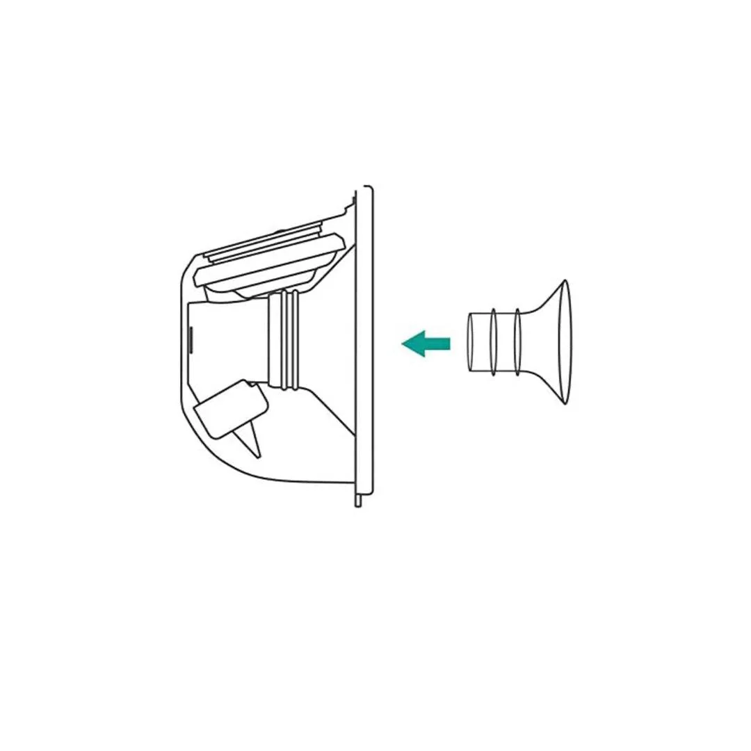Fraupow Insert - Image 3