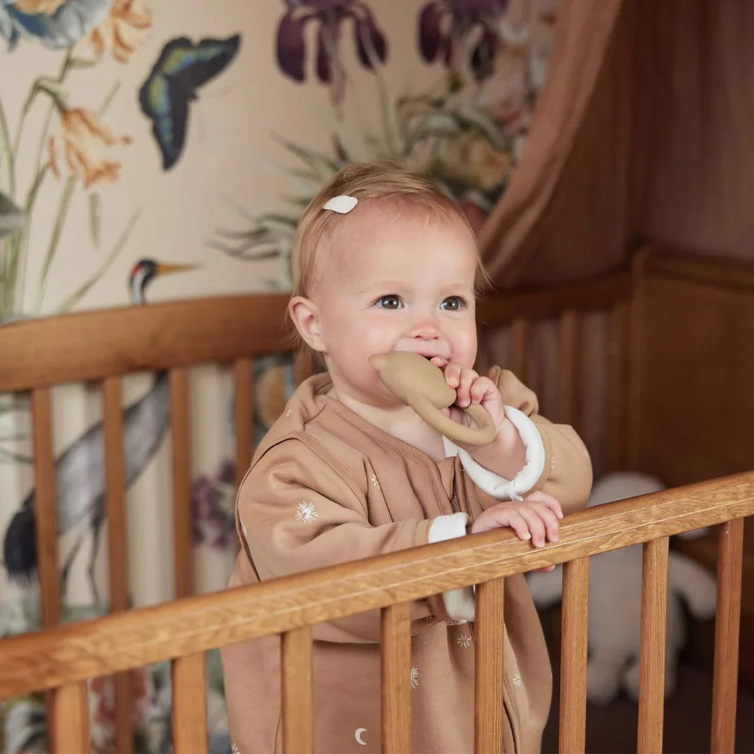 Jollein Teething Ring - Teddy Bear Biscuit - Image 2