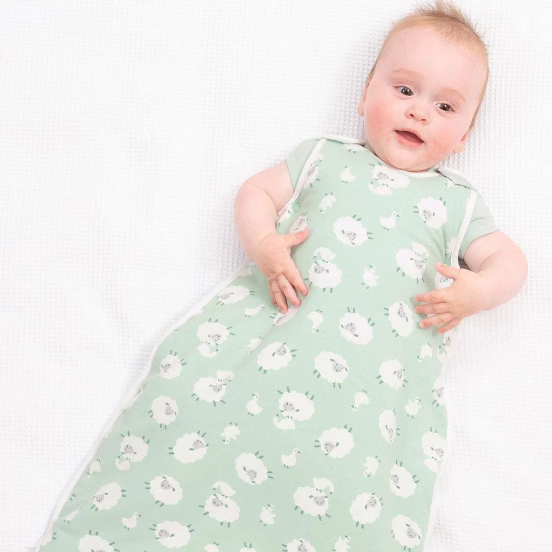 Kite Sleeping Bag - Baa Baa Quack - Image 2
