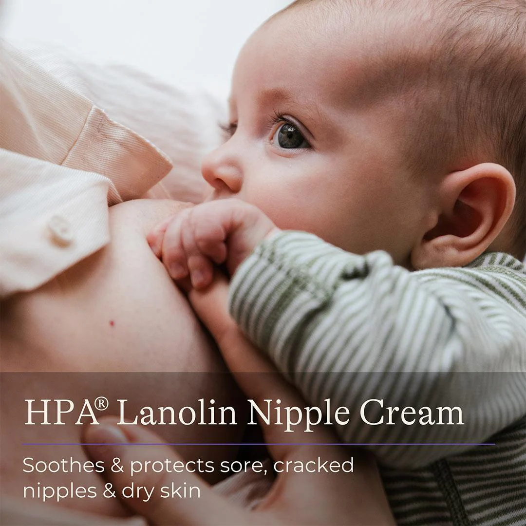 Lansinoh Nipple Cream - Image 2