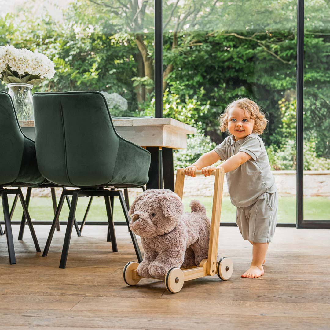 Little Bird Told Me - Push-Along Dog - Bailey (12m+) - Image 2