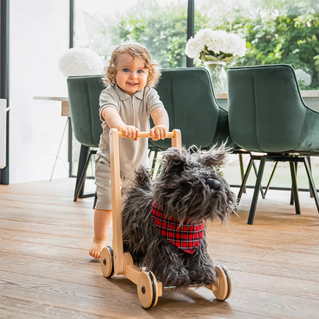 Little Bird Told Me - Push-Along Dog - Scottie (12m+) - Image 2