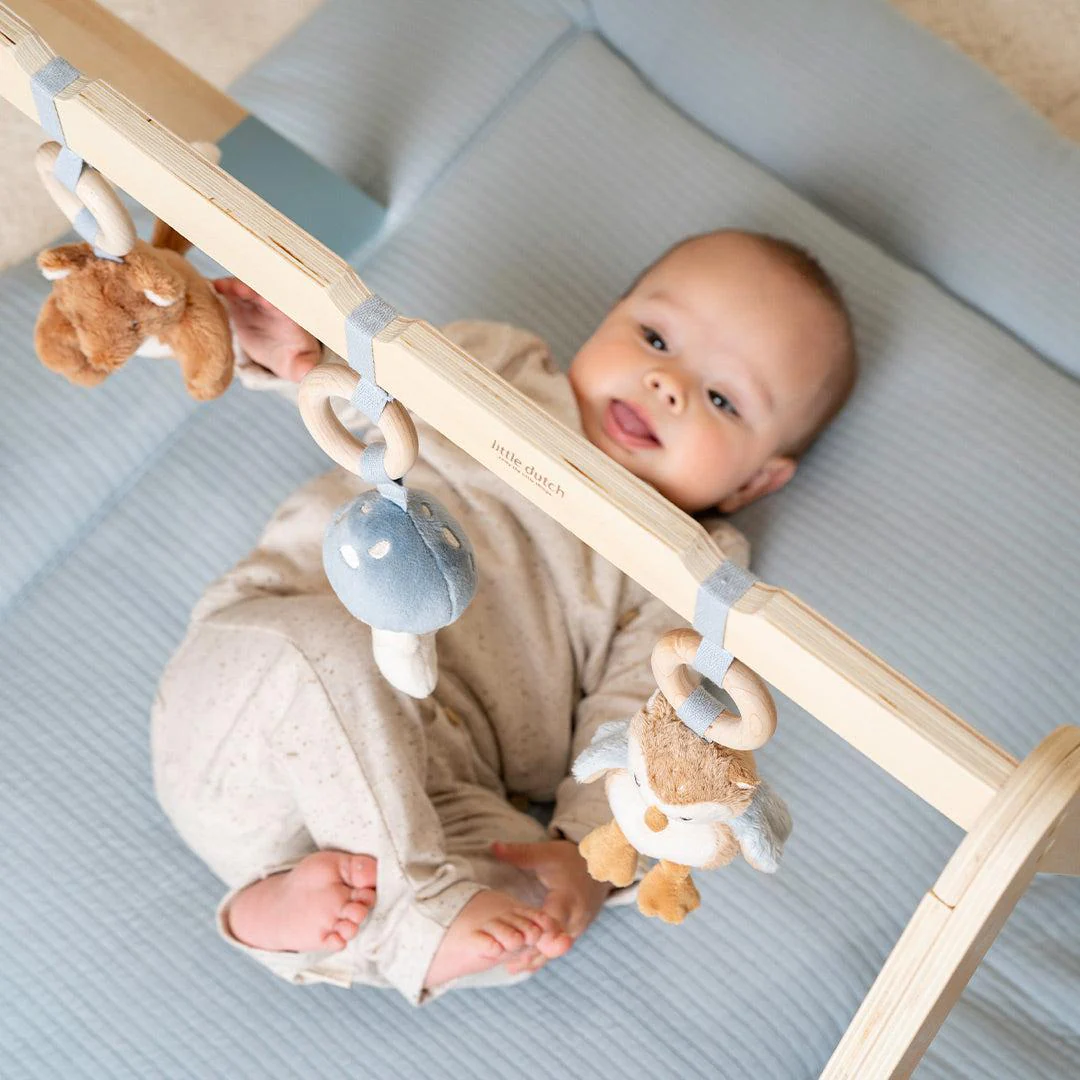 Little Dutch Babygym - Forest Friends - Image 3