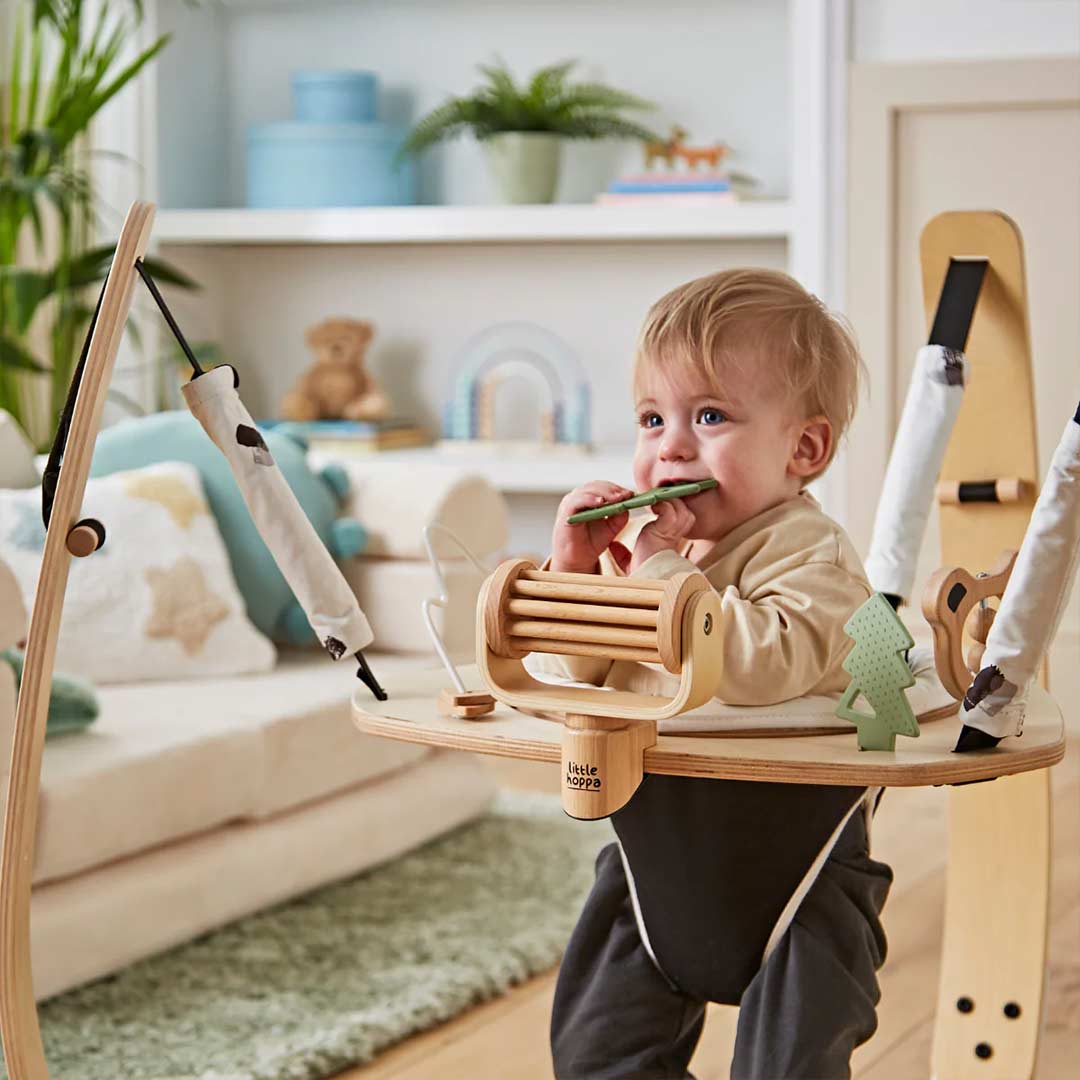 Little Hoppa Bouncer - Mono Mountain - Image 2