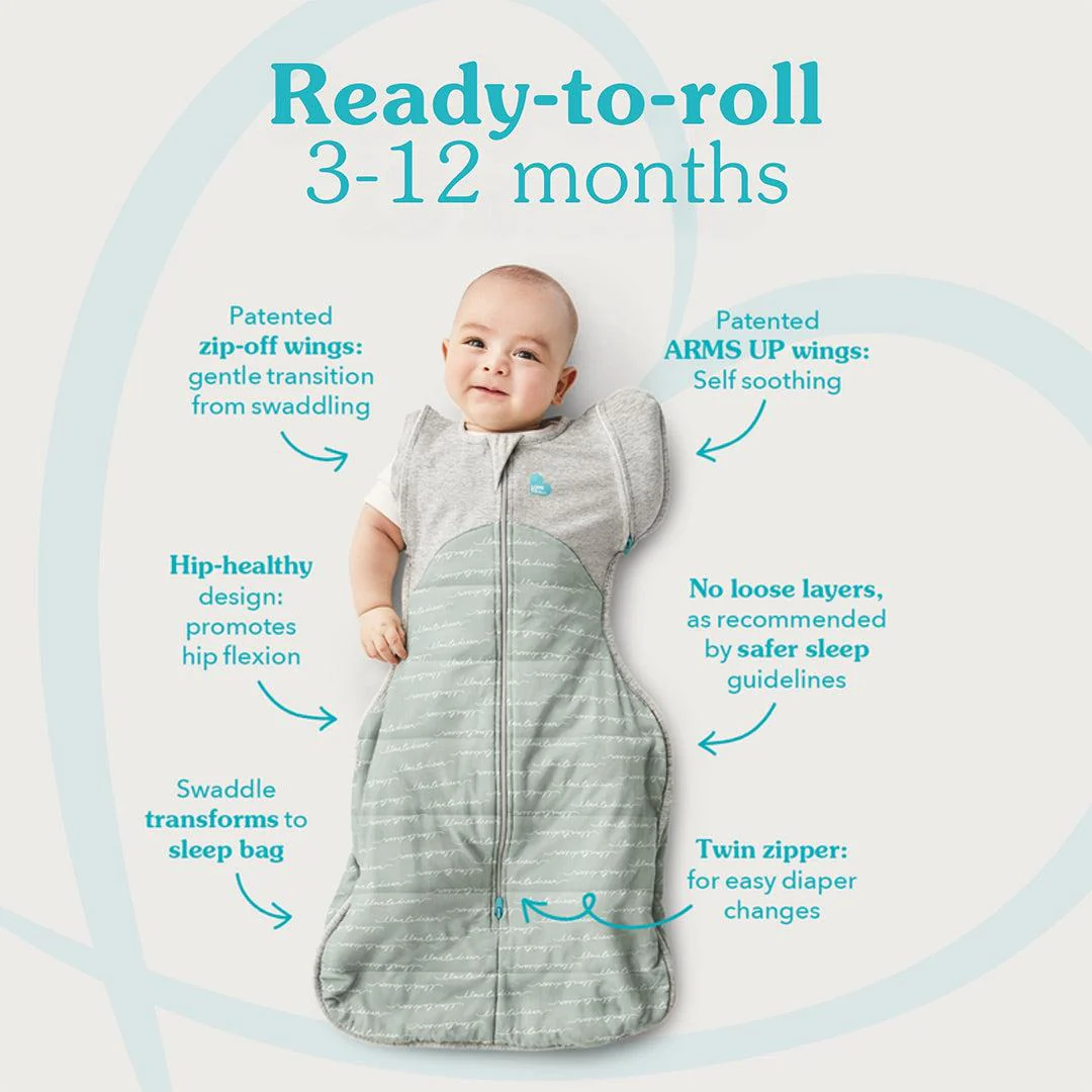 Love to Dream Swaddle Up Transition Bag (1.0 Tog) - Rainbow - Image 4