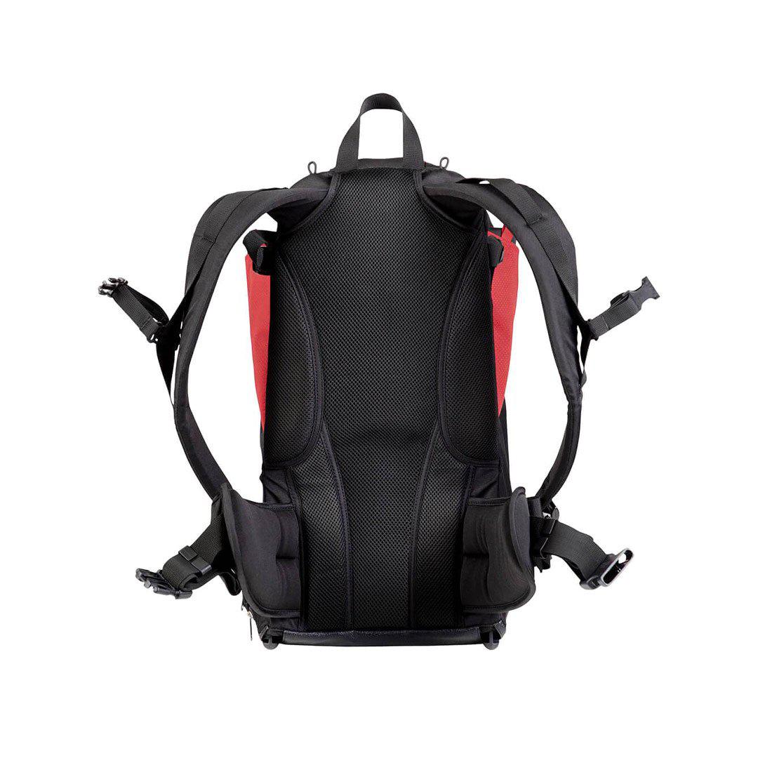 Phil & Teds Parade Baby Carrier - Chilli - Image 4