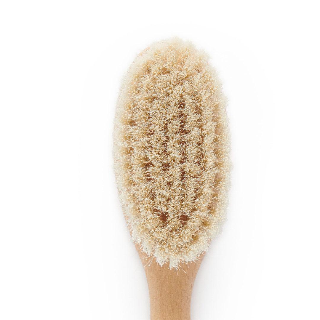 Purebaby Goat Hair Brush with Box - Image 3