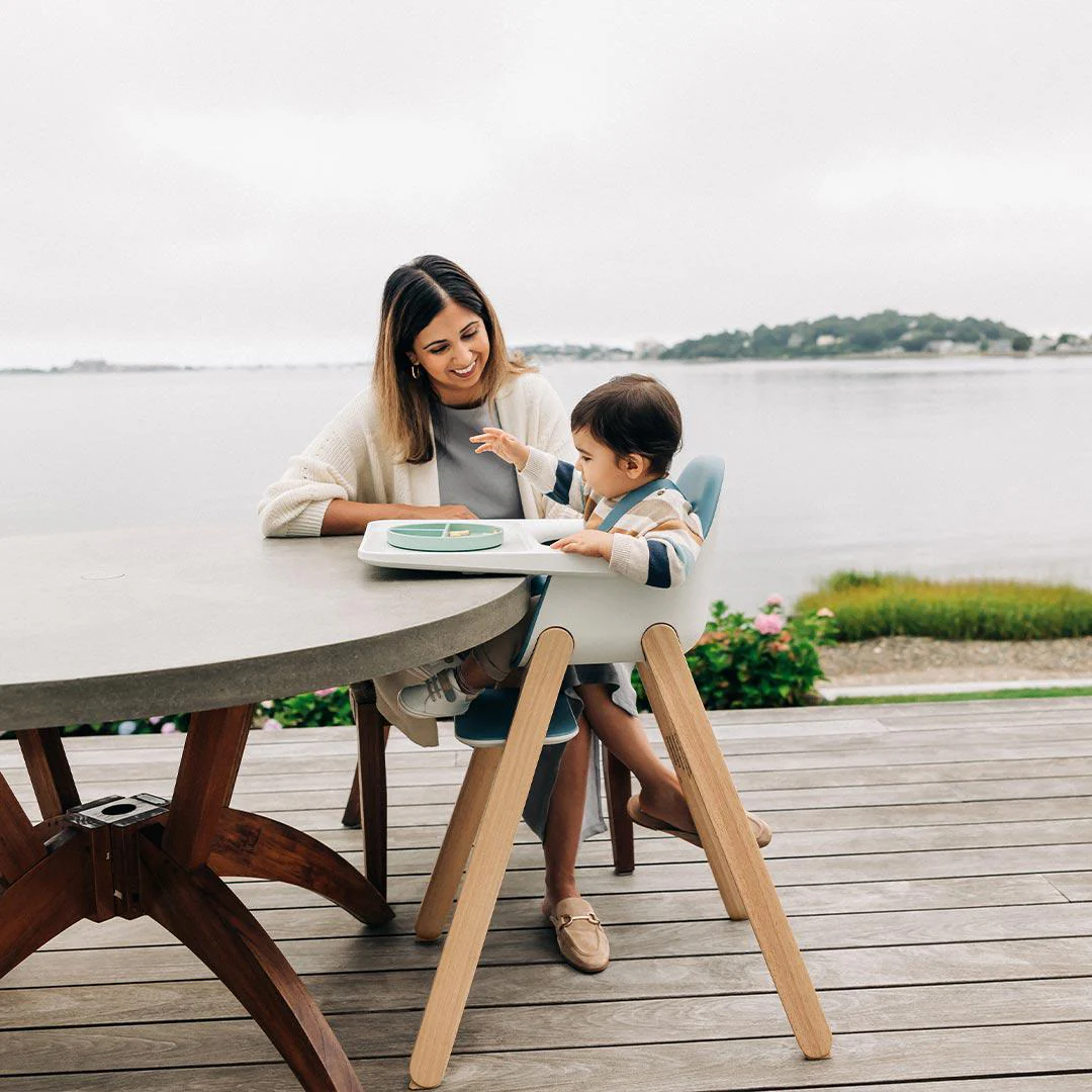 UPPABaby Ciro Highchair - Caleb - Image 4